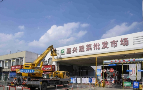 進(jìn)無(wú)止境，“嘉農(nóng)?蔬菜人”